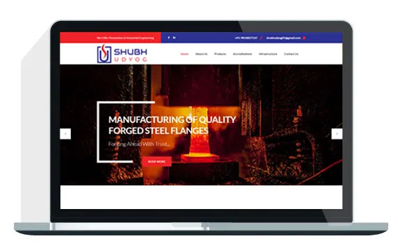 Website Designing Company in Delhi