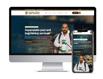 Financial Website Design Company in Delhi