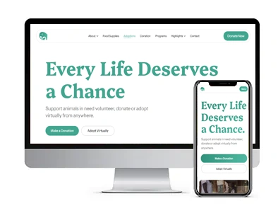 NGO website makeover