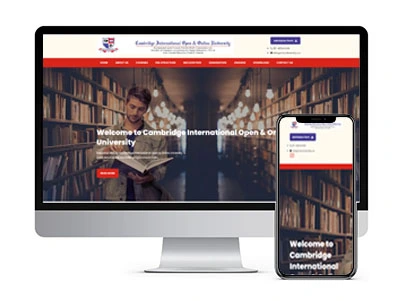 Low Cost online shopping Website Development