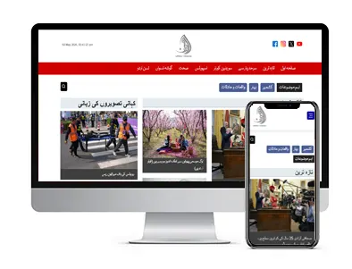 Best Urdu Website Development